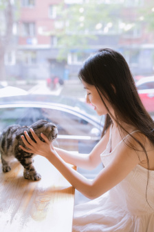 权游第一季未删减免费观看